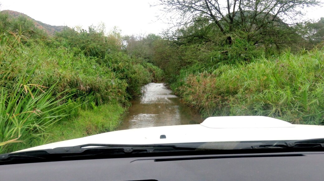 Driving through several rivers.. Fun!