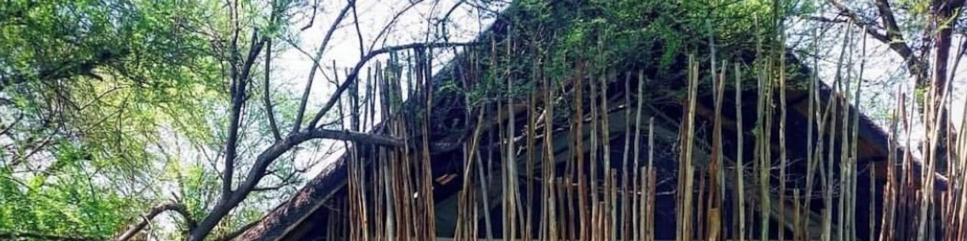 Pafuri Safari Camp, Kruger National Park
#adventure #adventurephotocontest