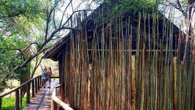 Pafuri Safari Camp, Kruger National Park
#adventure #adventurephotocontest