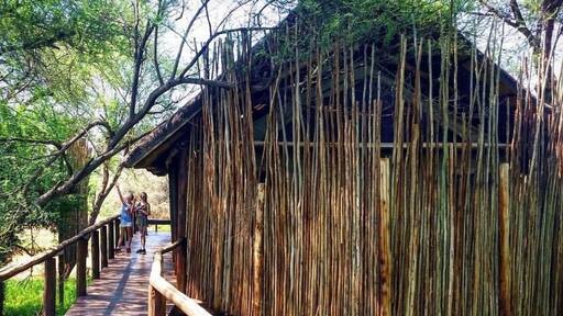 Pafuri Safari Camp, Kruger National Park
#adventure #adventurephotocontest