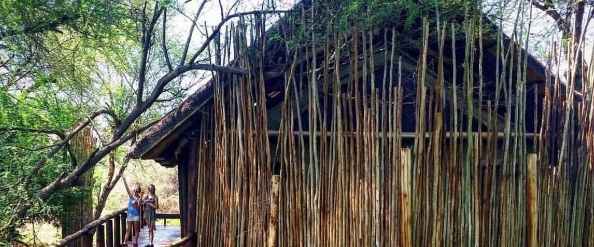 A wooden walkway leading to a thatched-roof structure surrounded by trees.