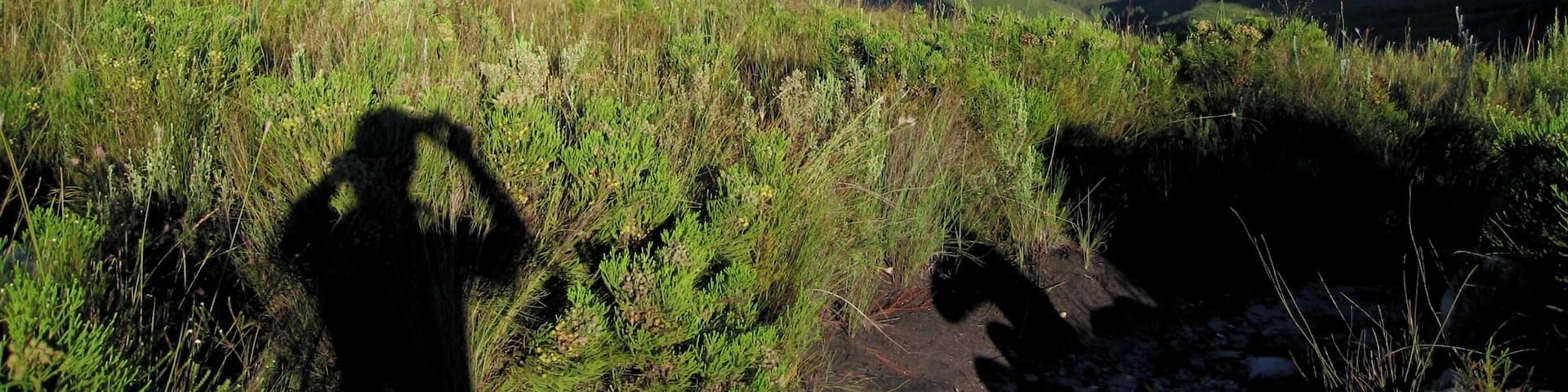 On a four day trek on the Tsitsikamma Trail in South Africa. One of the best multi-day treks I've ever done!
#hiking