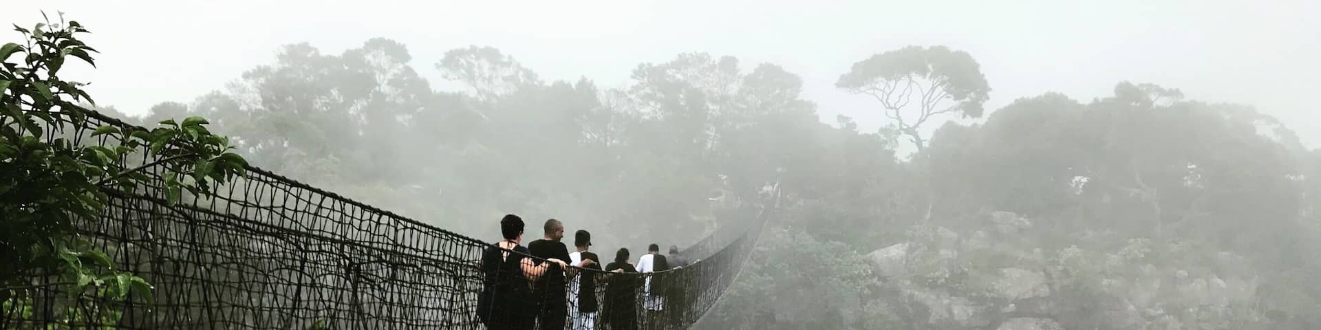 Hanging Bridge disappearing in the rain mist over an extremely high tropical gorge.