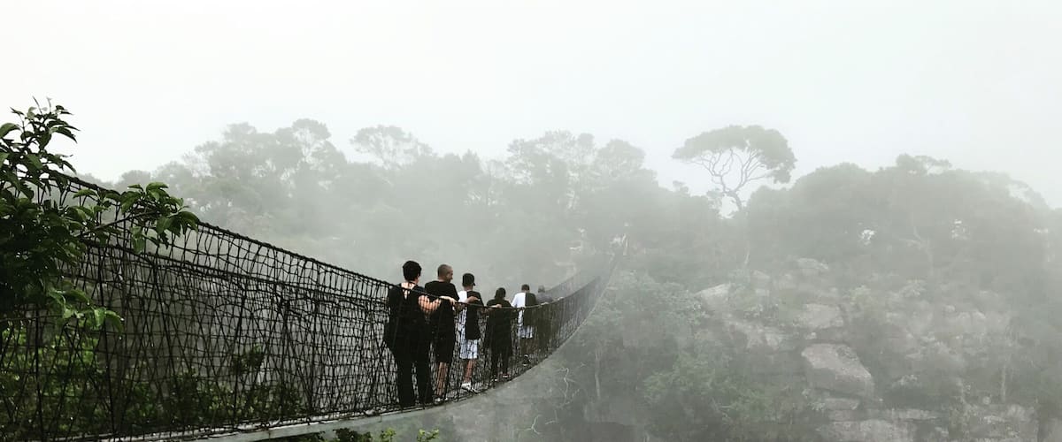 A suspension bridge over a river with dense foliage and rocky cliffs.
