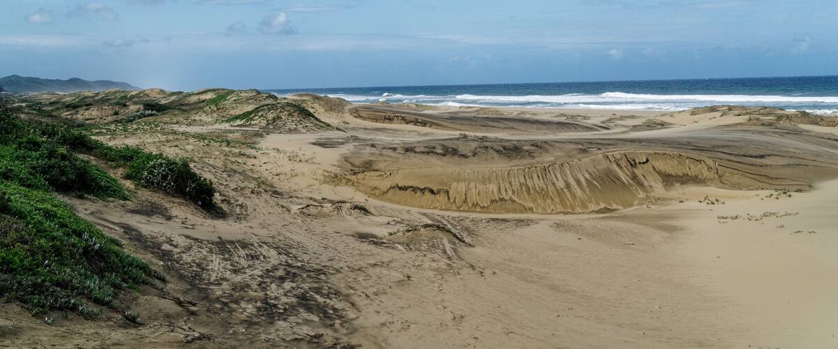 A coastal landscape with sandy terrain, green vegetation, and a distant view of the ocean.