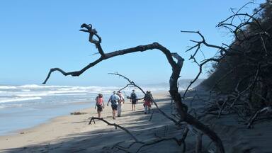 Take a walk on the wild side.. This is a 5 day Wild Coast hike on mostly beaches and some inland mountains.