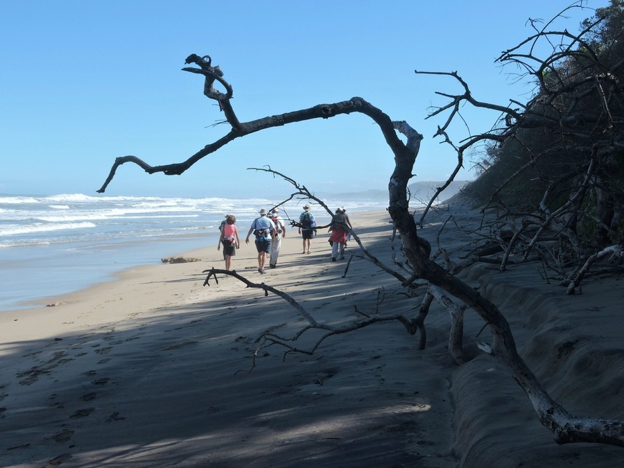 Take a walk on the wild side.. This is a 5 day Wild Coast hike on mostly beaches and some inland mountains.