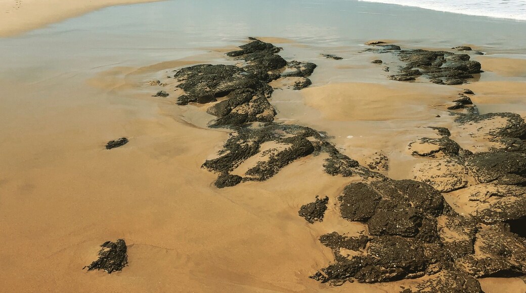 Kilometres of stunning beach at Morgan Bay, along the Wild Coast in the Eastern Cape, South Africa #beachbound