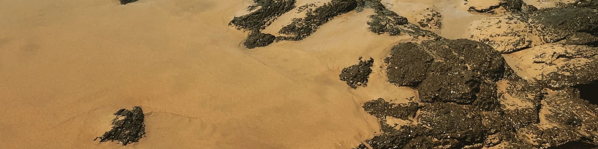 Kilometres of stunning beach at Morgan Bay, along the Wild Coast in the Eastern Cape, South Africa #beachbound