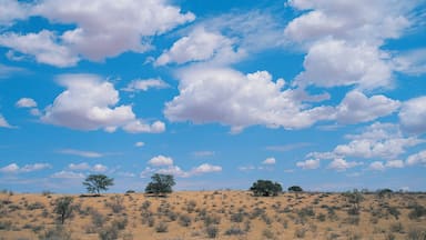 Clouds over Kalahari Gemsbok National Park