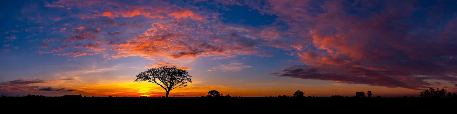 A tree silhouetted against a sunset sky with vibrant orange and purple clouds.