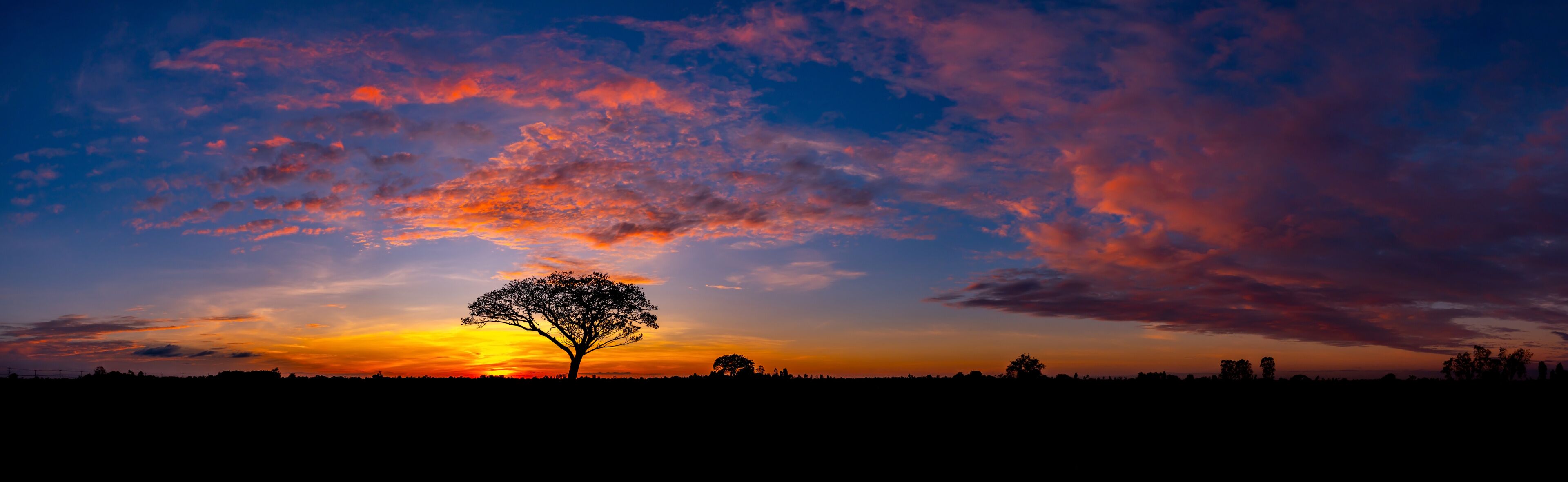 A tree silhouetted against a sunset sky with vibrant orange and purple clouds.