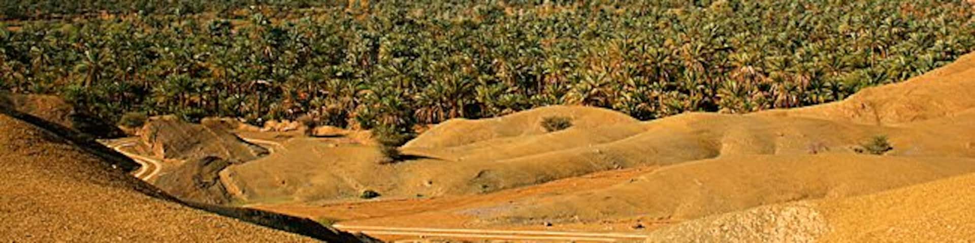 The Draa valley and the desert sourrounding it is a must when visiting Morocco.