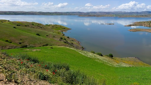 Mouha ou Hammou Zayani