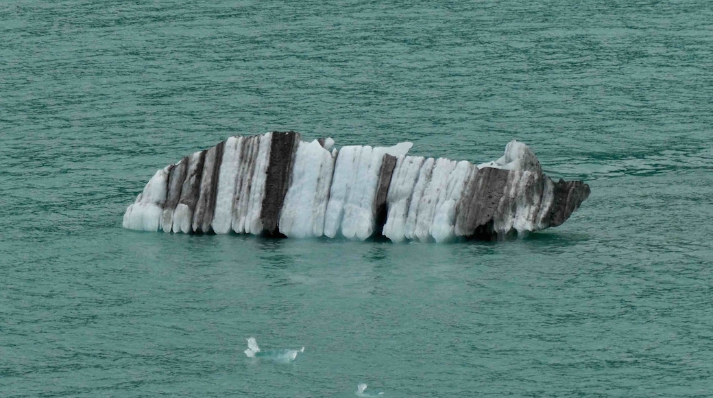 A beautiful zebra striped ice berg from the Amalia Glacier in Chile. It’s just so pretty.