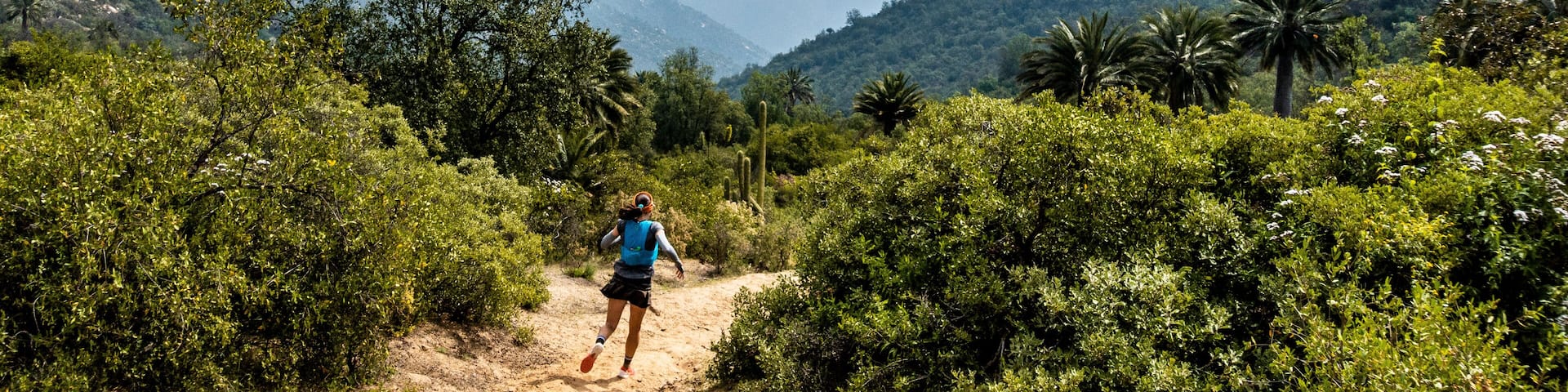 Young woman trail running through National Park La Campana in Chile.