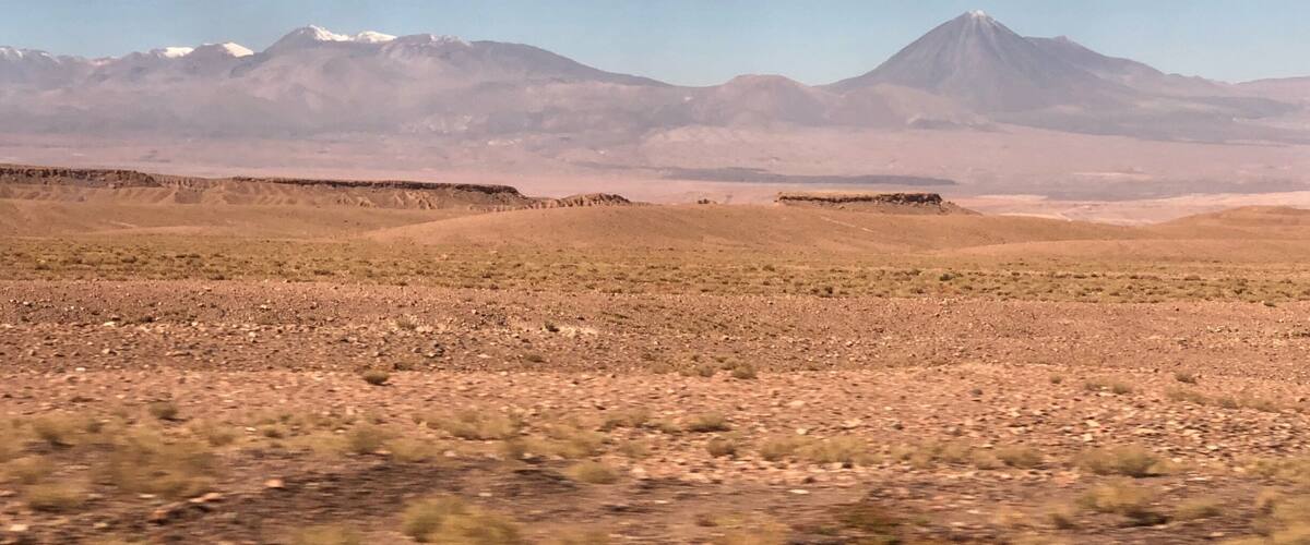 A desert landscape with sparse vegetation and distant snow-capped mountains.