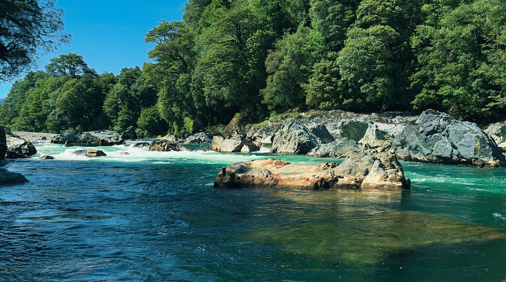 Cisnes River with emerald waters on the Carretera Austral. Puerto Cisnes, Patagonia Chile
