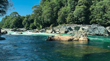 Cisnes River with emerald waters on the Carretera Austral. Puerto Cisnes, Patagonia Chile