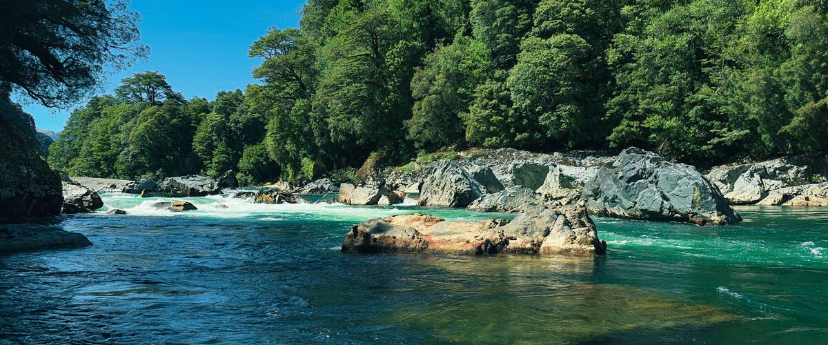 A river flowing through a rocky landscape with dense green forest on the hills.