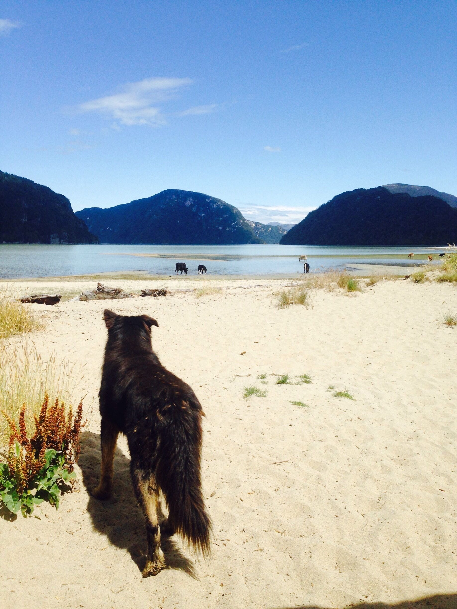 Playa Ancha in Caleta Tortel