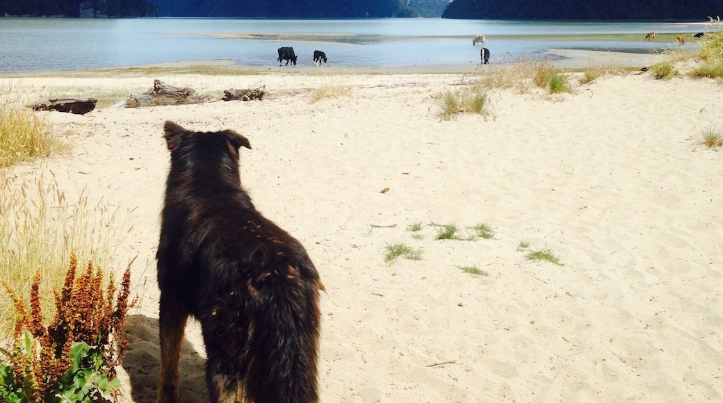 Playa Ancha in Caleta Tortel