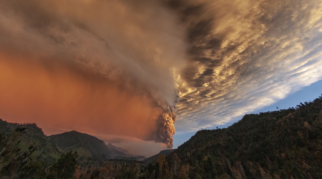Puyehue