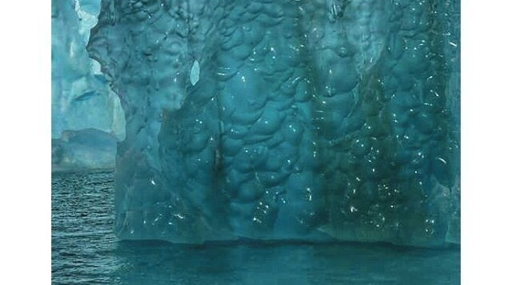 #Icebergs of tierra del fuego #argentina