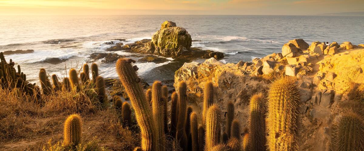 Cliff in Punta de Lobos at Pichilemu, VI Region, Chile