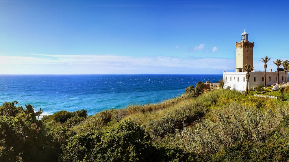 A coastal landscape with a lighthouse, palm trees, and a clear blue sea.