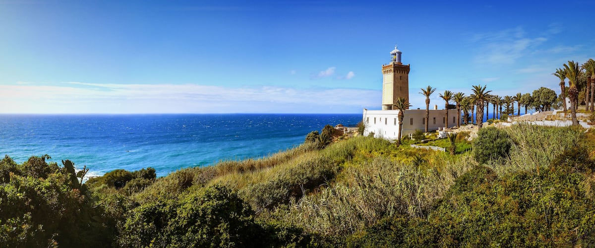 A coastal landscape with a lighthouse, palm trees, and a clear blue sea.