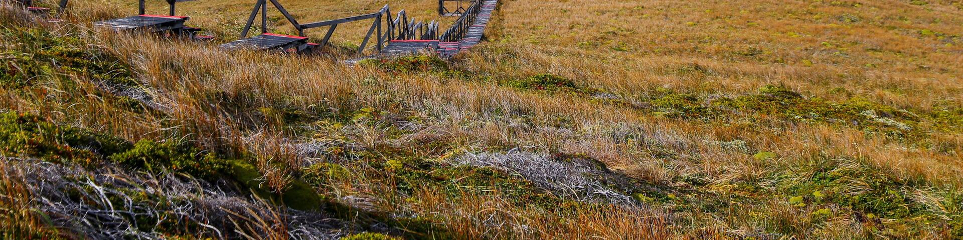 A grassy hill with a red pathway leading to a white sculpture.