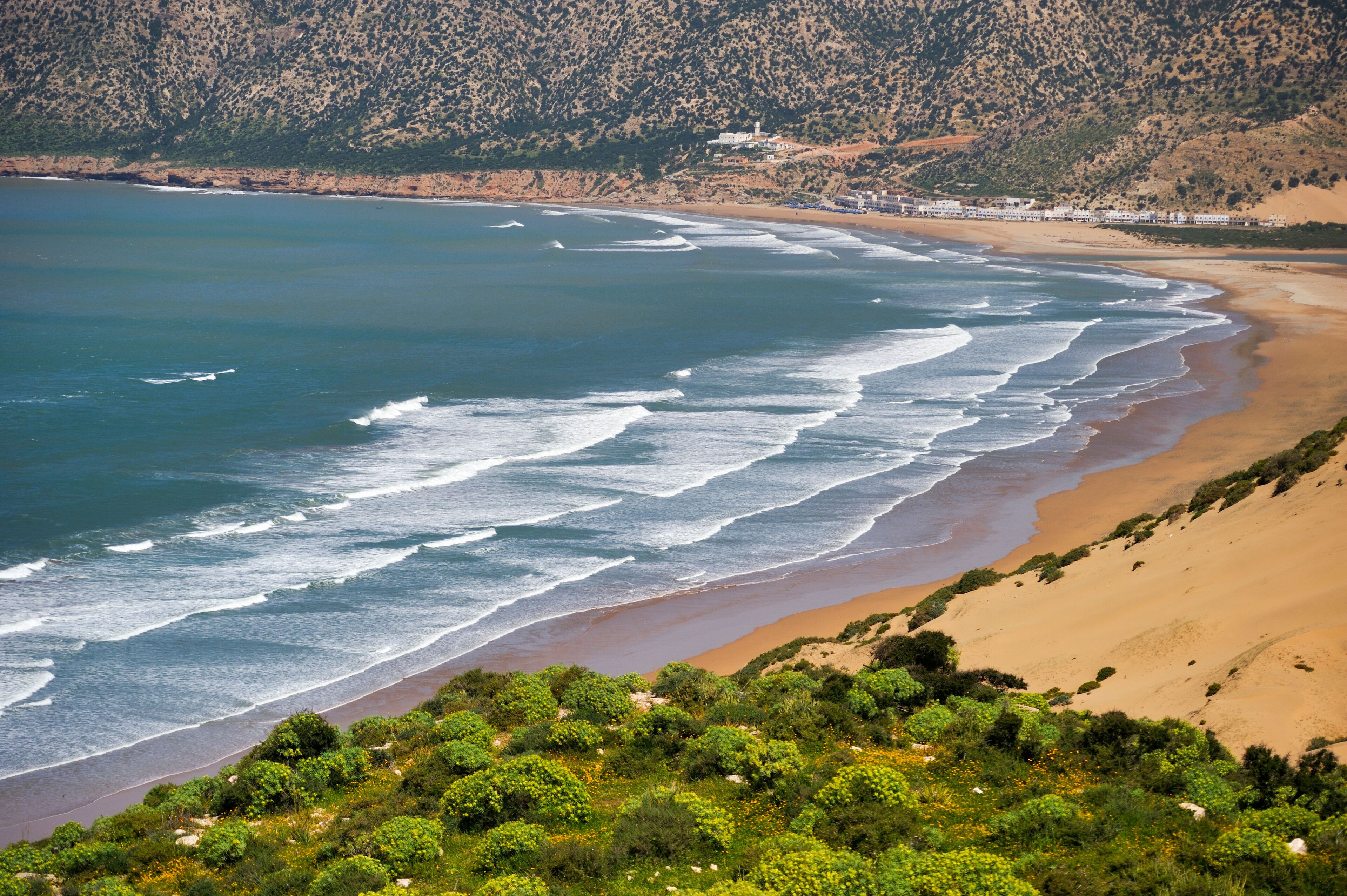 A coastal landscape with a sandy beach, ocean waves, and a hillside with sparse vegetation.