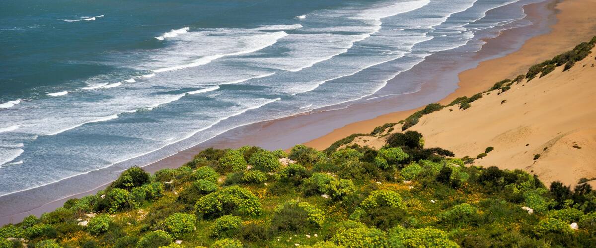 A coastal landscape with a sandy beach, ocean waves, and a hillside with sparse vegetation.
