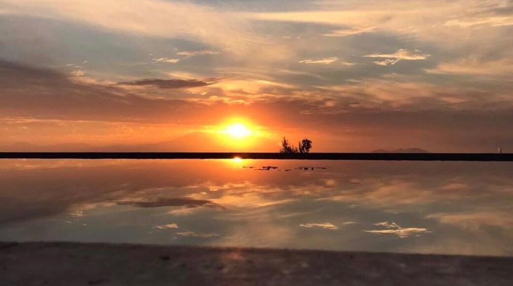 Un atardecer de copas ilusiones