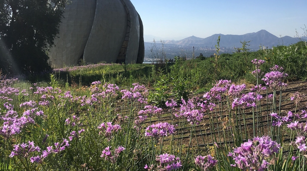 Contemplation has found its place. Walk the trails, ponder or meditate, enjoy the view. A place open to all.
http://templo.bahai.cl/en/