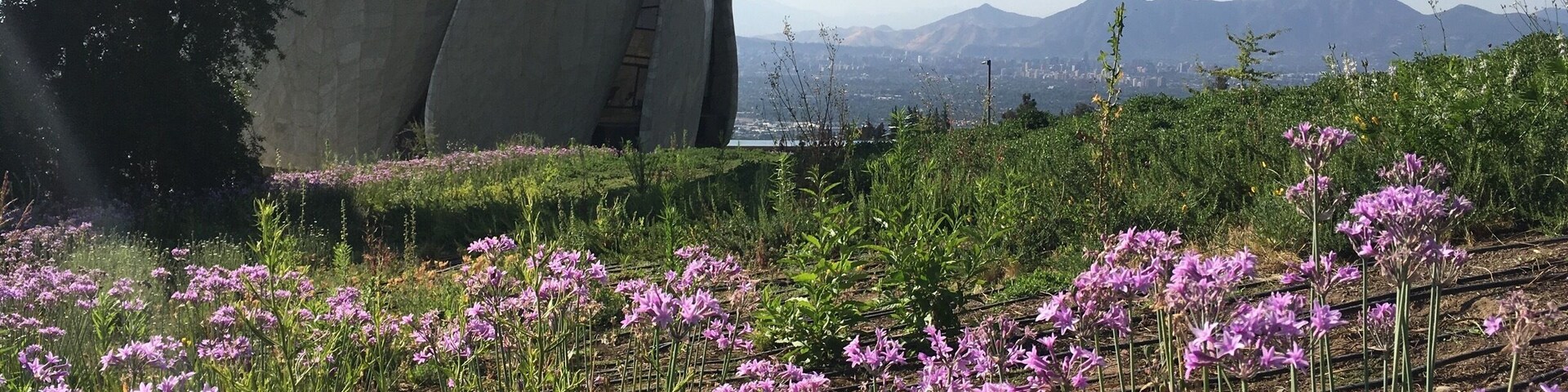 Un edificio grande y moderno con un diseño curvo único, rodeado por un campo de flores moradas y un paisaje montañoso al fondo.