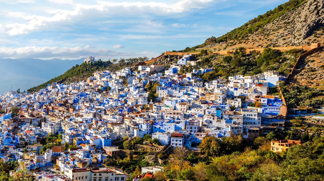A densely packed hillside town with buildings painted in blue and white, surrounded by greenery and mountains in the background.