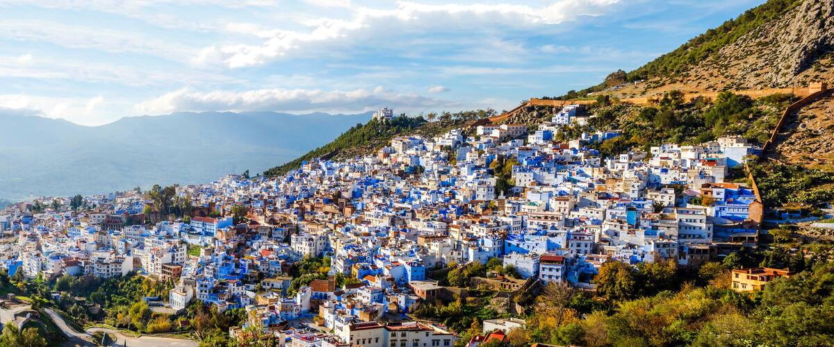 A densely packed hillside town with buildings painted in blue and white, surrounded by greenery and mountains in the background.