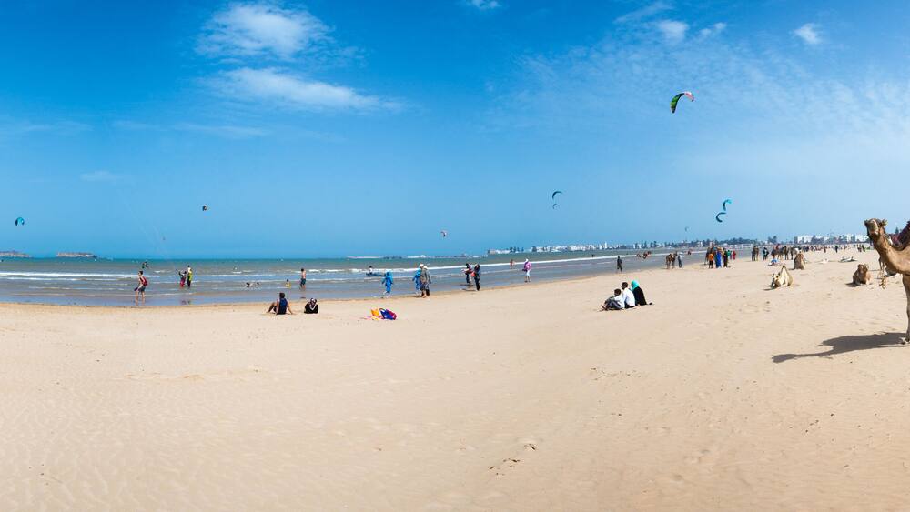 Beach, Kite Surfers and a camel in Essaouira