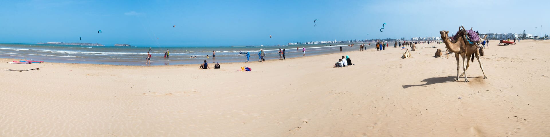 Beach, Kite Surfers and a camel in Essaouira