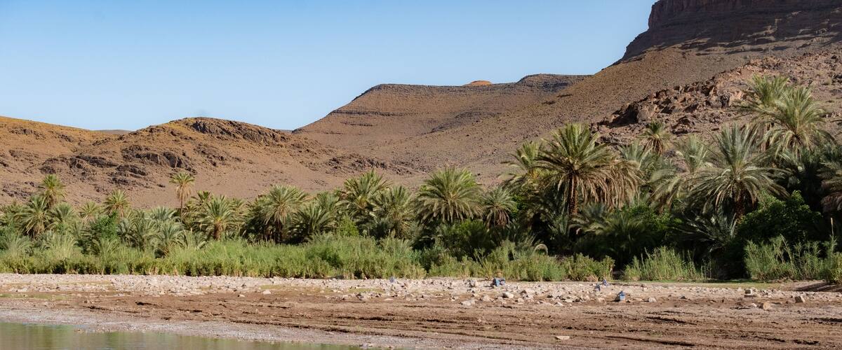 A river with palm trees and a desert landscape in the background.