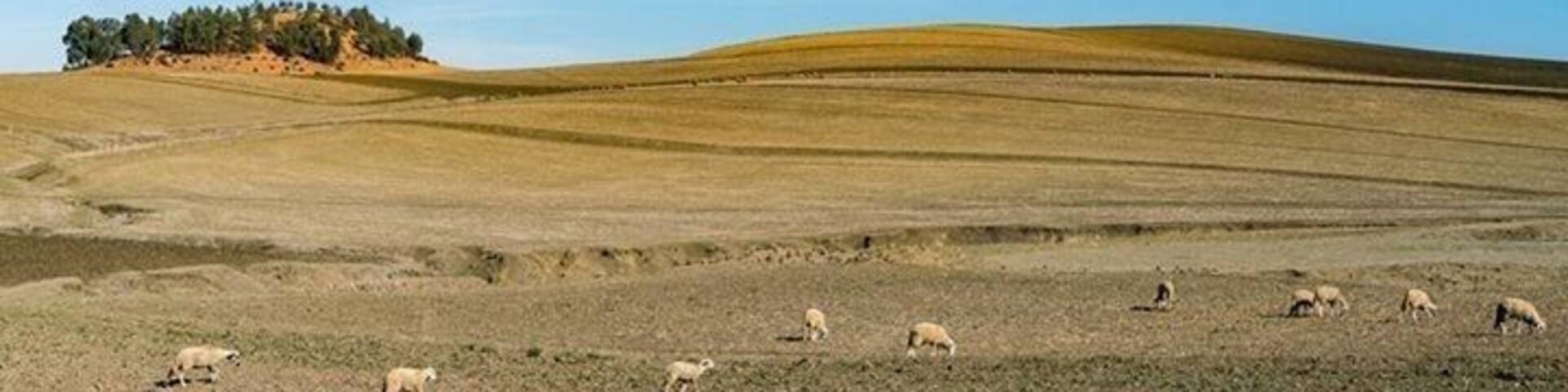 SomeWhere In The Morocco II Morocco
"人生過客匆匆,相機抓住每個剎那,與我擦肩而過的人和事"