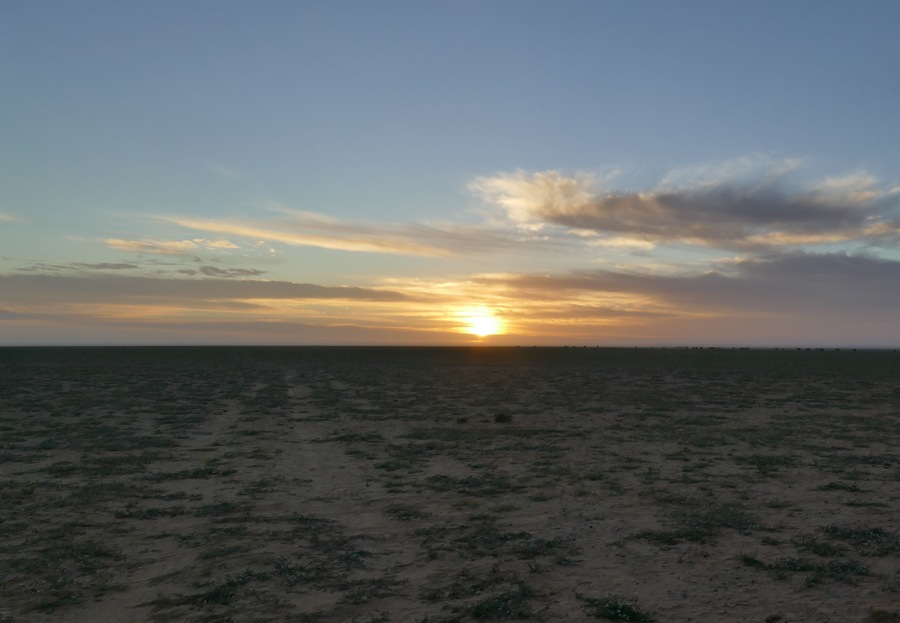 Guelta zemmur