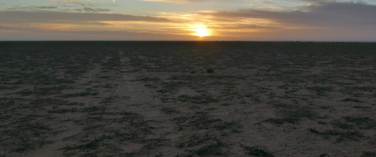 A desert landscape at sunset with the sun low on the horizon.