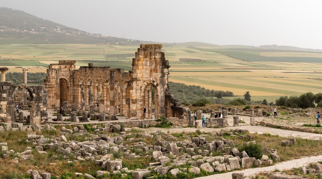 โวลูบิลิส