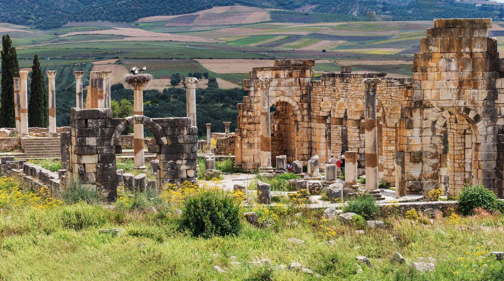 โวลูบิลิส