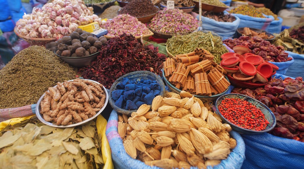 The Souk el had in the City Agadir in Morocco, Africa