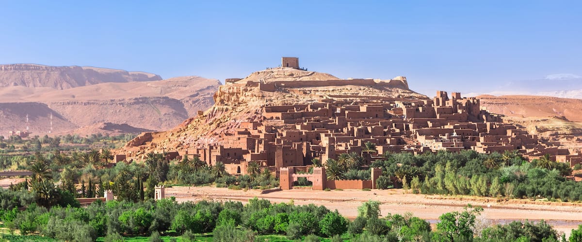 A historic fortified city with a prominent citadel on a hill, surrounded by lush greenery and desert landscapes.