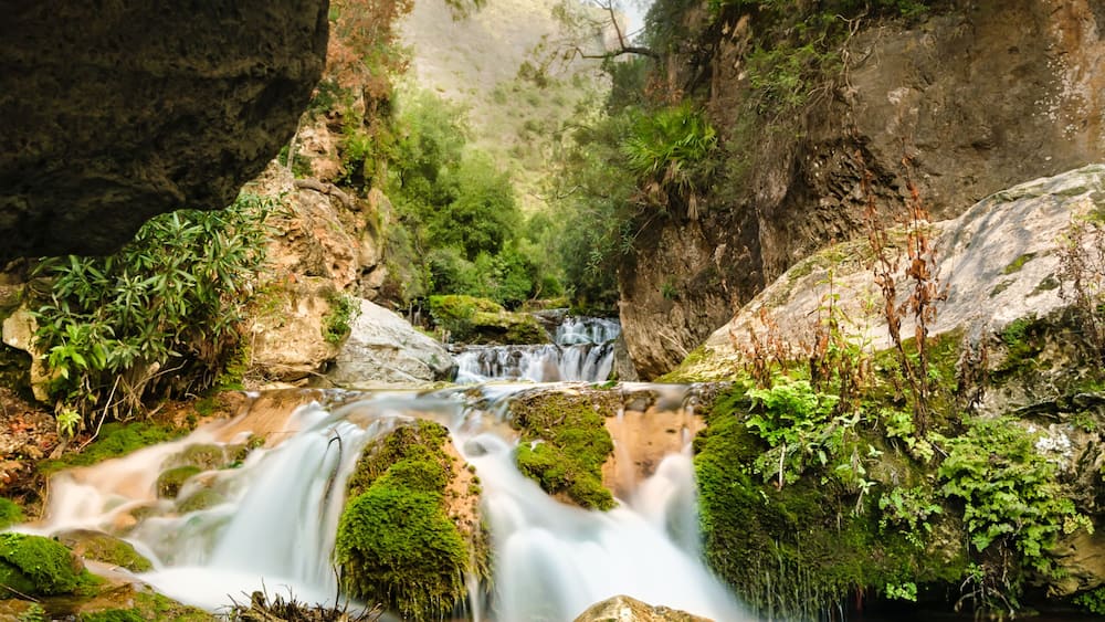 Une cascade d’eau se déversant sur des rochers couverts de mousse, dans un ravin boisé.